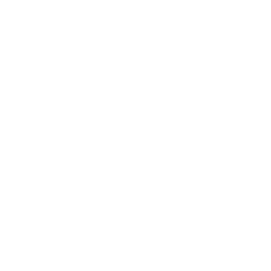 Eyecon logo.