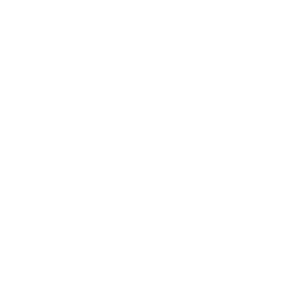 Gamzix logo.
