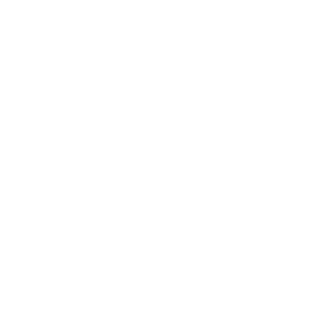 Neon Valley logo.