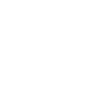 Playtech logo.