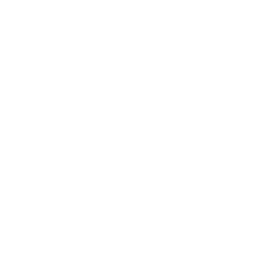 Snowborn logo.