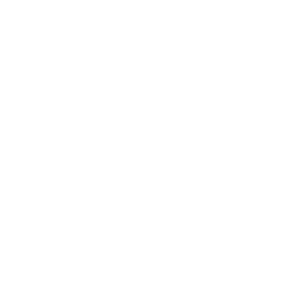 Victory Ark logo.